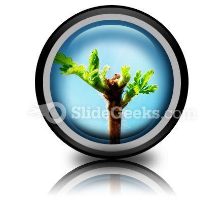 default_img