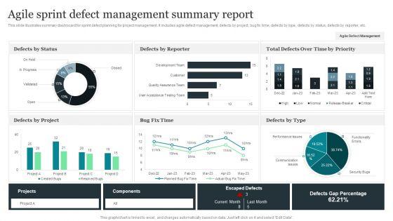 Agile_Sprint_Defect_Management_Summary_Report_Structure_PDF_Slide_1.jpg
