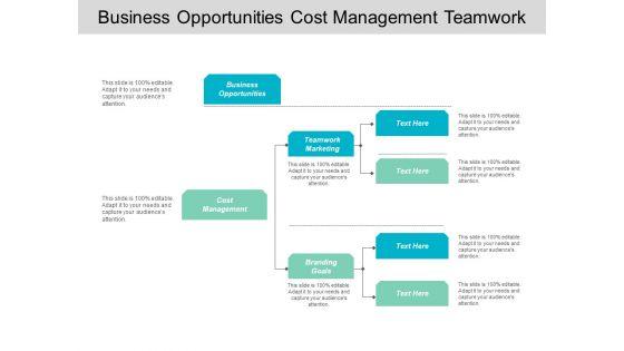 Business_Opportunities_Cost_Management_Teamwork_Marketing_Branding_Goals_Ppt_PowerPoint_Presentation_Inspiration_Graphics_Slide_1.jpg