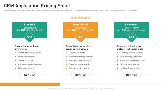 CRM_Application_Pricing_Sheet_Structure_PDF_Slide_1.jpg
