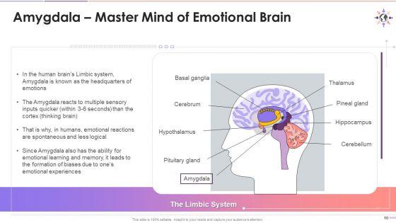 Causes_Of_Bias_Formation_Training_Deck_On_Diversity_And_Inclusion_Training_Ppt_Slide_10.jpg