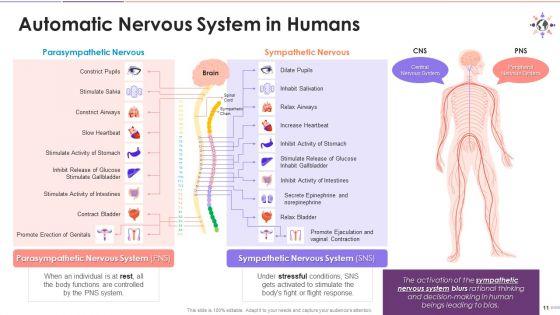 Causes_Of_Bias_Formation_Training_Deck_On_Diversity_And_Inclusion_Training_Ppt_Slide_11.jpg