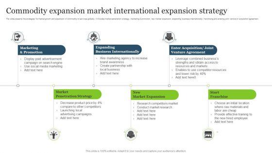 Commodity_Expansion_Market_International_Expansion_Strategy_Template_PDF_Slide_1.jpg
