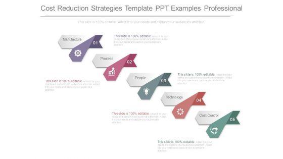 Cost_Reduction_Strategies_Template_Ppt_Examples_Professional_1.jpg