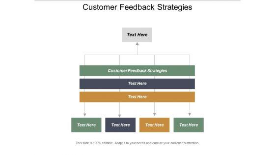 Customer_Feedback_Strategies_Ppt_PowerPoint_Presentation_Infographic_Template_Graphics_Pictures_Cpb_Slide_1.jpg