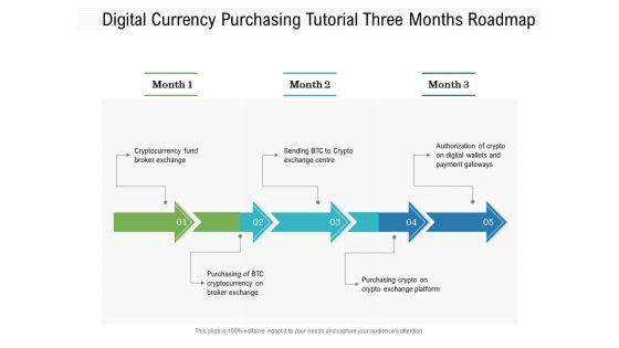 Digital_Currency_Purchasing_Tutorial_Three_Months_Roadmap_Download_Slide_1.jpg