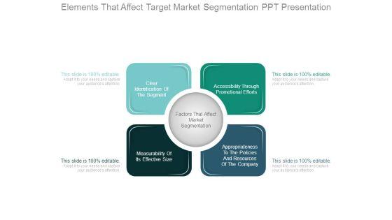 Elements_That_Affect_Target_Market_Segmentation_Ppt_Presentation_1.jpg