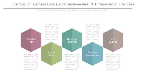 Example_Of_Business_Basics_And_Fundamentals_Ppt_Presentation_Examples_Slide_1.jpg