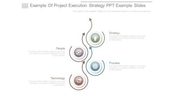 Example_Of_Project_Execution_Strategy_Ppt_Example_Slides_1.jpg