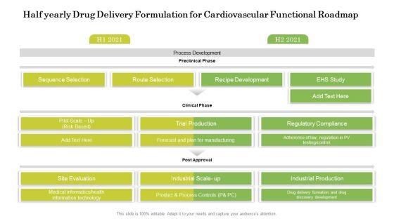 Half_Yearly_Drug_Delivery_Formulation_For_Cardiovascular_Functional_Roadmap_Designs_Slide_1.jpg
