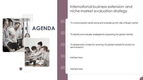 International_Business_Extension_And_Niche_Market_Evaluation_Strategy_Ppt_PowerPoint_Presentation_Complete_Deck_With_Slides_Slide_2.jpg