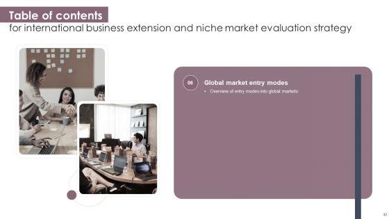 International_Business_Extension_And_Niche_Market_Evaluation_Strategy_Ppt_PowerPoint_Presentation_Complete_Deck_With_Slides_Slide_42.jpg