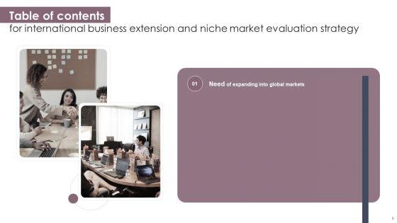 International_Business_Extension_And_Niche_Market_Evaluation_Strategy_Ppt_PowerPoint_Presentation_Complete_Deck_With_Slides_Slide_5.jpg