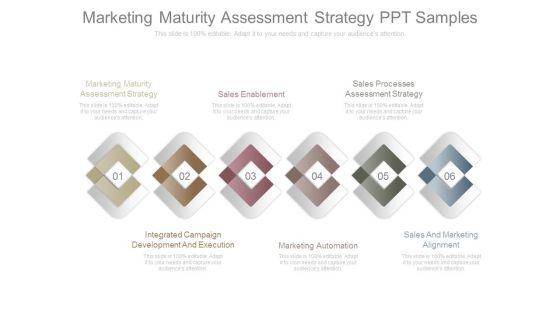 Marketing_Maturity_Assessment_Strategy_Ppt_Samples_1.jpg