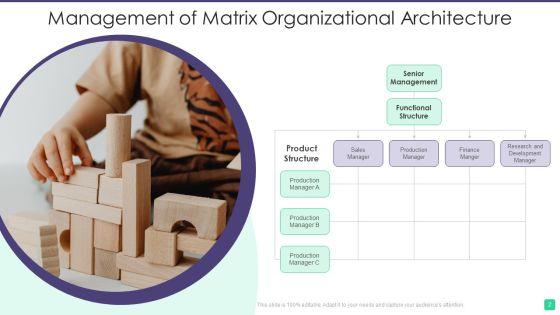 Matrix_Organizational_Architecture_Ppt_PowerPoint_Presentation_Complete_With_Slides_Slide_2.jpg