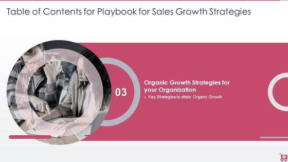 Playbook_For_Sales_Growth_Strategies_Ppt_PowerPoint_Presentation_Complete_Deck_With_Slides_Slide_10.jpg