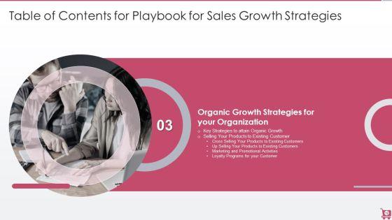 Playbook_For_Sales_Growth_Strategies_Ppt_PowerPoint_Presentation_Complete_Deck_With_Slides_Slide_12.jpg