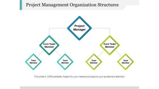 Project_Management_Organization_Structures_Ppt_PowerPoint_Presentation_File_Slides_Slide_1.jpg