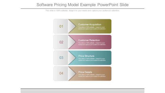 Software_Pricing_Model_Example_Powerpoint_Slide_1.jpg