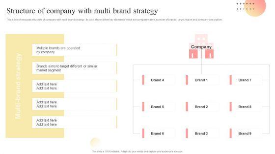 Structure_Of_Company_With_Multi_Brand_Strategy_Multi_Branding_Approaches_For_Different_Download_PDF_Slide_1.jpg