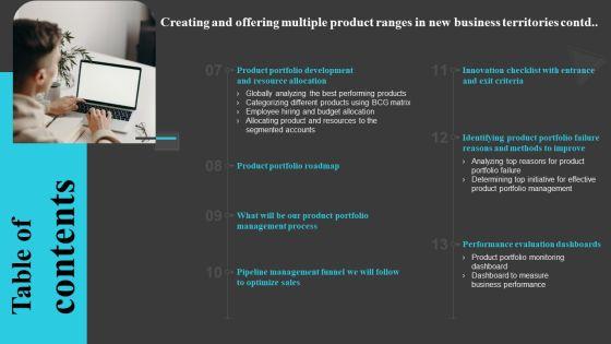 Table_Of_Contents_Creating_And_Offering_Multiple_Product_Ranges_In_New_Business_Territories_Information_PDF_Slide_2.jpg