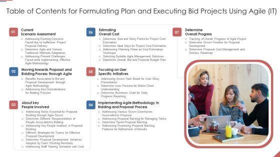Table_Of_Contents_For_Formulating_Plan_And_Executing_Bid_Projects_Using_Agile_IT_Rules_PDF_Slide_1.jpg