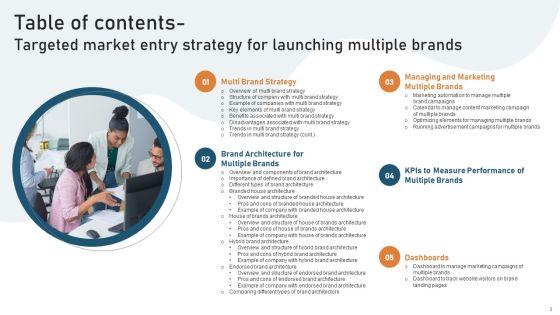 Targeted_Market_Entry_Strategy_For_Launching_Multiple_Brands_Ppt_PowerPoint_Presentation_Complete_Deck_With_Slides_Slide_3.jpg