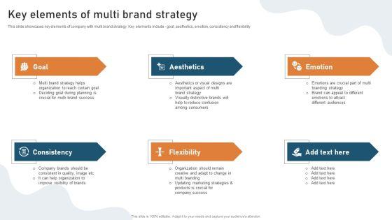 Targeted_Market_Entry_Strategy_Key_Elements_Of_Multi_Brand_Strategy_Professional_PDF_Slide_1.jpg