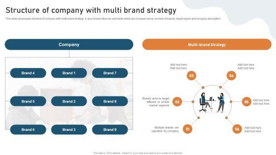 Targeted_Market_Entry_Strategy_Structure_Of_Company_With_Multi_Brand_Strategy_Download_PDF_Slide_1.jpg