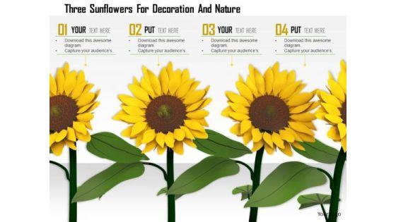 stock_photo_three_sunflowers_for_decoration_and_nature_powerpoint_slide_1.jpg