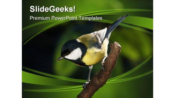 tomtit_on_branch_nature_powerpoint_themes_and_powerpoint_slides_0211_title.jpg
