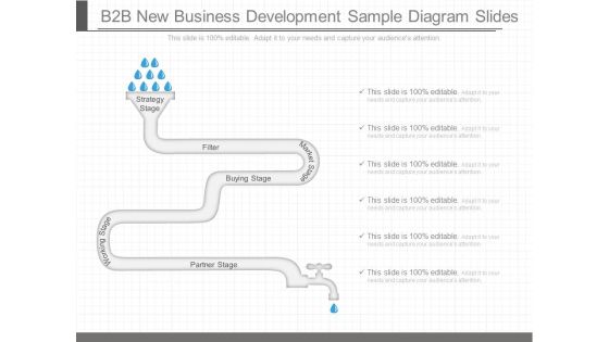 B2b New Business Development Sample Diagram Slides B2b New Business Development Sample Diagram Slides