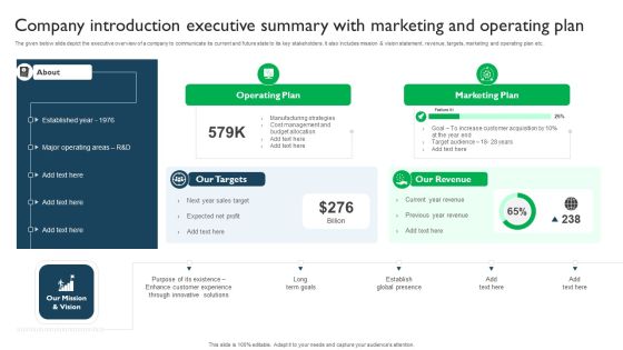 Company Introduction Executive Summary With Marketing And Operating Plan Rules PDF Company Introduction Executive Summary With Marketing And Operating Plan Rules PDF
