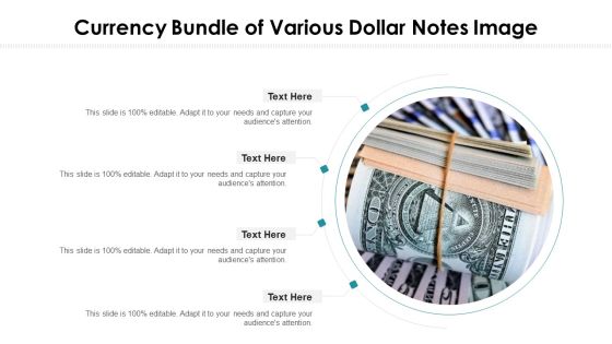 Currency Bundle Of Various Dollar Notes Image Ppt PowerPoint Presentation File Good PDF Currency Bundle Of Various Dollar Notes Image Ppt PowerPoint Presentation File Good PDF