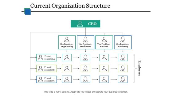 Current Organization Structure Ppt PowerPoint Presentation Portfolio Designs Download