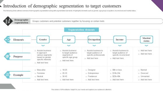 Customer Segmentation And Behavioral Analysis Introduction Of Demographic Ideas PDF