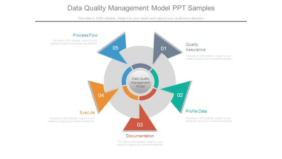 Data Quality Management Model Ppt Samples
