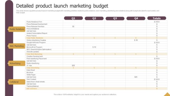 Detailed Product Launch Marketing Budget Ppt Styles Topics PDF