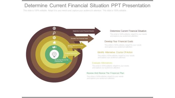 Determine Current Financial Situation Ppt Presentation Determine Current Financial Situation Ppt Presentation