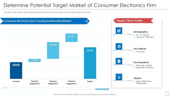 Determine Potential Target Market Of Consumer Electronics Firm Professional PDF Determine Potential Target Market Of Consumer Electronics Firm Professional PDF