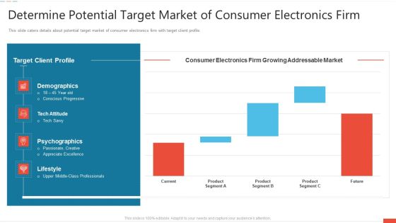 Determine Potential Target Market Of Consumer Electronics Firm Sample PDF Determine Potential Target Market Of Consumer Electronics Firm Sample PDF