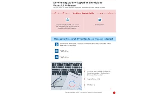 Determining Auditor Report On Standalone Financial Statement One Pager Documents Determining Auditor Report On Standalone Financial Statement One Pager Documents