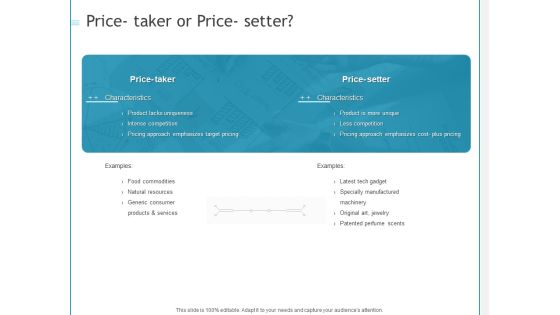 Developing A Right Pricing Strategy For Business Price Taker Or Price Setter Ideas PDF Developing A Right Pricing Strategy For Business Price Taker Or Price Setter Ideas PDF