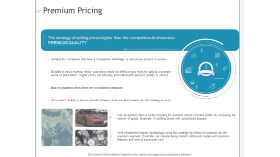 Developing A Right Strategy For Business Premium Pricing Ppt Infographics Aids PDF