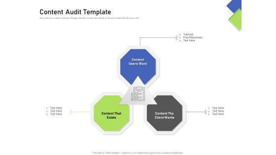 Developing Content Mapping Strategy Content Audit Template Ppt Outline Pictures PDF Developing Content Mapping Strategy Content Audit Template Ppt Outline Pictures PDF