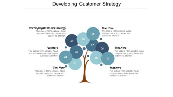 Developing Customer Strategy Ppt PowerPoint Presentation Model Visual Aids