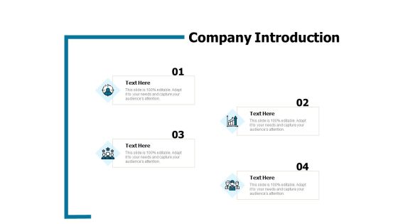 Developing Implementing Strategic HRM Plans Company Introduction Ppt Model Ideas PDF