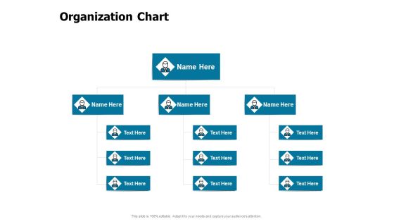 Developing Implementing Strategic HRM Plans Organization Chart Ppt Infographic Template Diagrams PDF