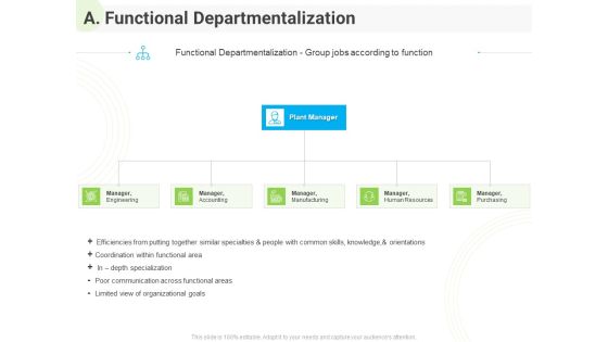 Developing Work Force Management Plan Model A Functional Departmentalization Diagrams PDF