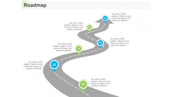 Developing Work Force Management Plan Model Roadmap Ppt Portfolio Guidelines PDF